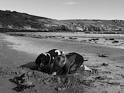 A child and their dog dig a hole on Carne Beach in Cornwall.