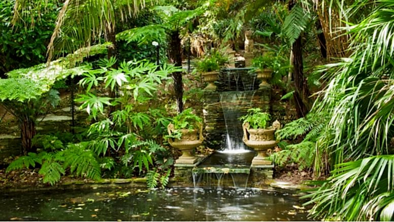 A man-made waterfall at Trebah Garden.