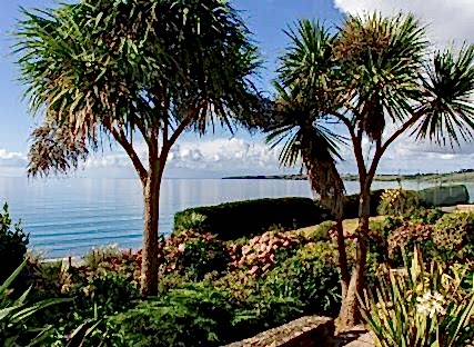 Palm trees in The Nare's gardens with the Cornish coast beyond.