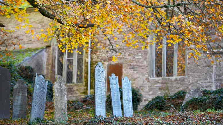 Gravestones and autumnal trees in the Veryan church cemetery.